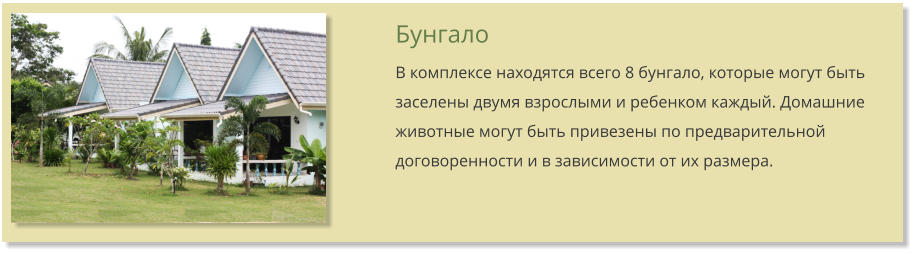 Бунгало В комплексе находятся всего 8 бунгало, которые могут быть заселены двумя взрослыми и ребенком каждый. Домашние животные могут быть привезены по предварительной договоренности и в зависимости от их размера.